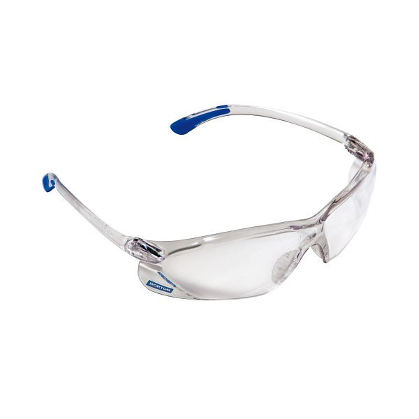 Norton Standard-Schutzbrille, 66254482025