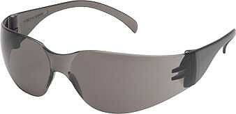 tprosafe Schutzbrille Indianapolis, grau, tp.1000246