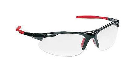 tprosafe Schutzbrille Palm Springs, klar, tp.1000240