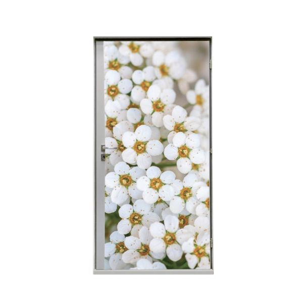 Showdown Displays Türtapete 80 cm Weiße Blume Spirea, DWR80-I650