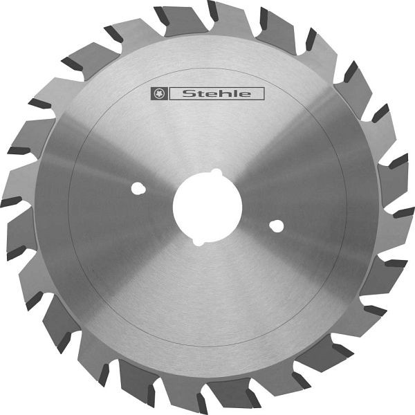 Stehle HW-Ritz-Kreissägeblatt RS2, 100x2,8-3,6x20, Zähne: 2X10F, 58110190