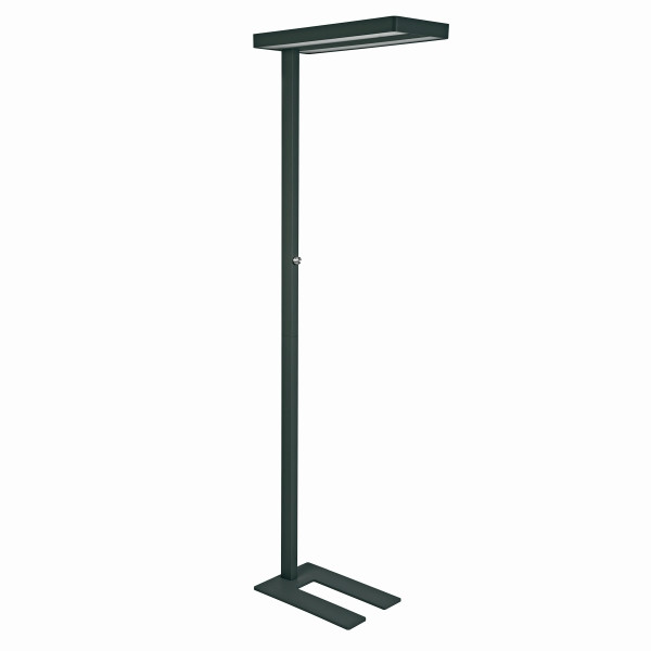 MAUL LED-Standleuchte MAULjaval, dimmbar, schwarz, 8258490