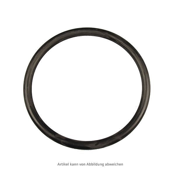 BEULCO O-Ring 90 x 7 mm, 310760