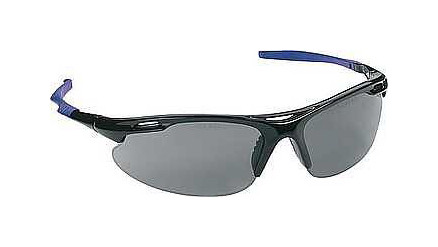 tprosafe Schutzbrille Palm Springs, grau, tp.1000241