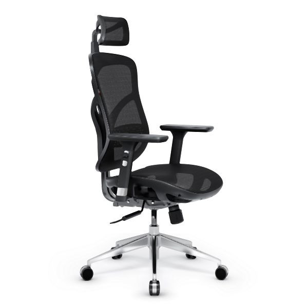 Diablo Chairs Ergonomischer Stuhl Diablo V-Basic, Schwarz, 950