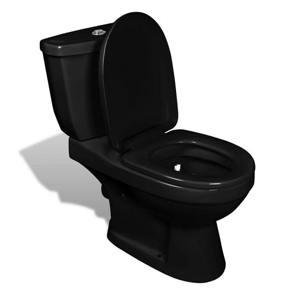 vidaXL Toilette mit Spülkasten Schwarz, 240550