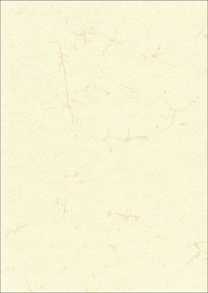 RNK Dokumentenpapier (Elefantenhautpapier), 190g/qm, weiß, DIN A4, 2858