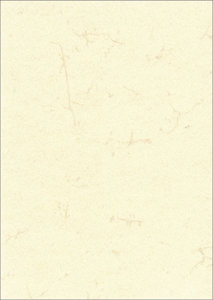 RNK Dokumentenpapier (Elefantenhautpapier), 190g/qm, weiß, DIN A3, 2859