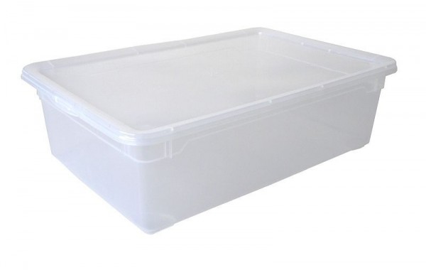 Rotho Clearbox 22 l CLEAR, transparent, 1438400096WS